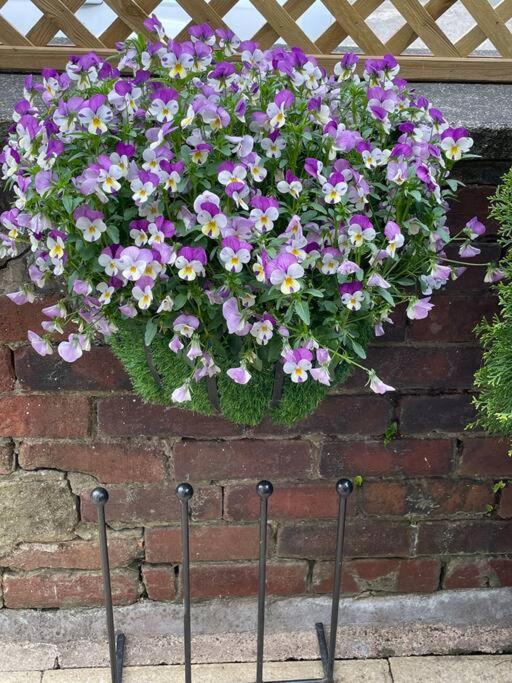 Cute And Cosy 2 Bed Cottage Honley Exterior foto